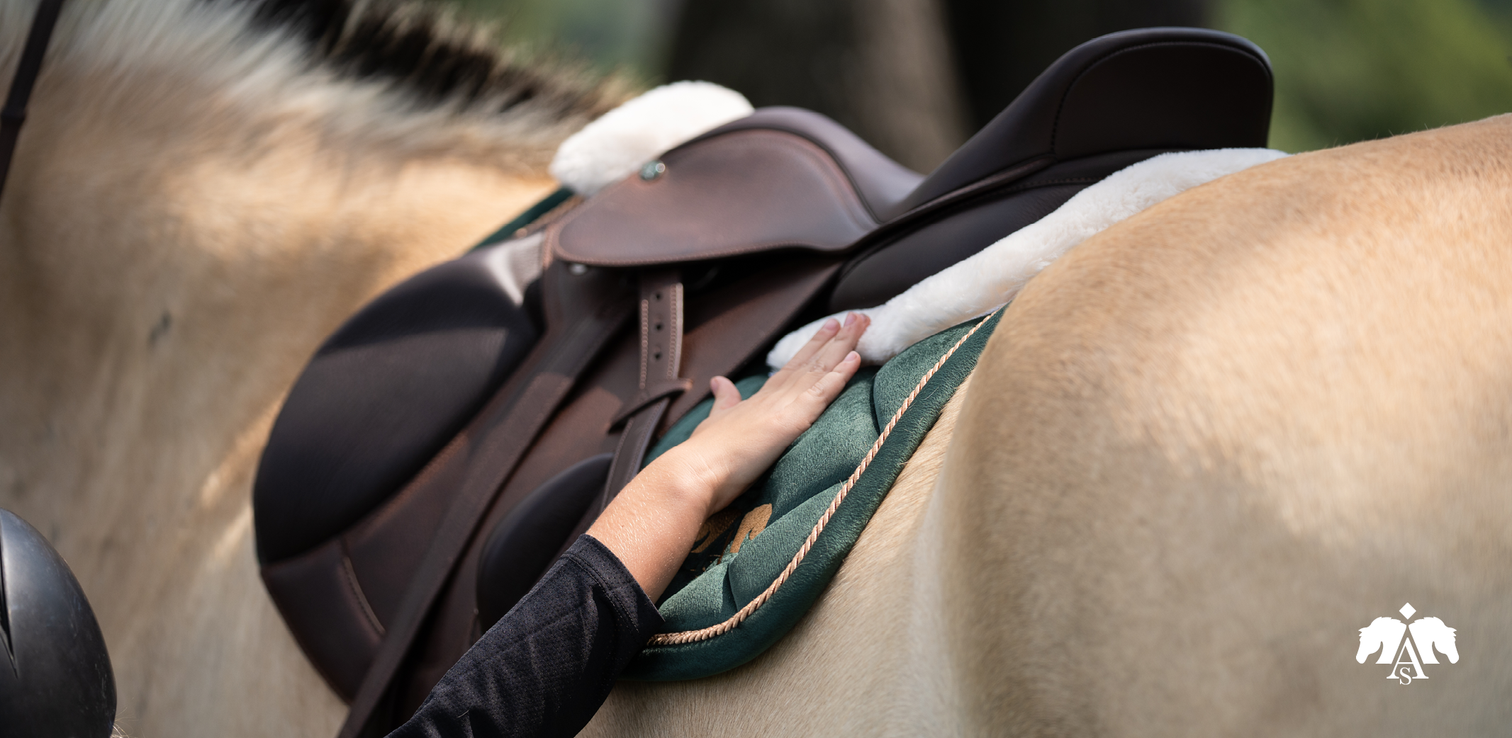 Setz neue Maßstäbe – mit dem Arena Pony Monoflap Jump