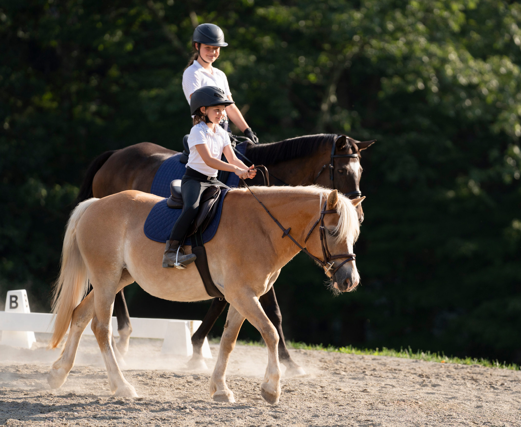 NEU Arena Children's General Purpose