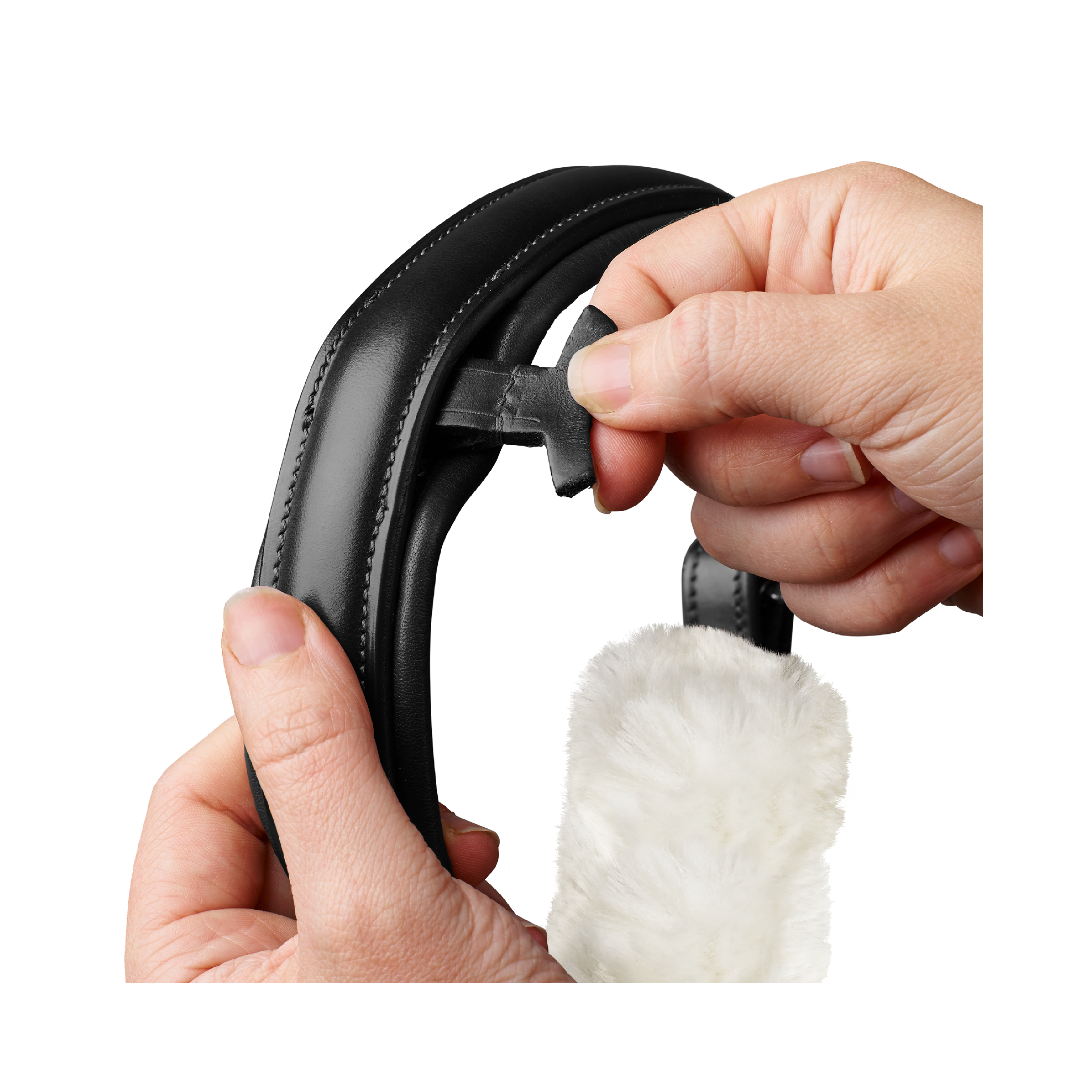 Arena Dressage Bridle